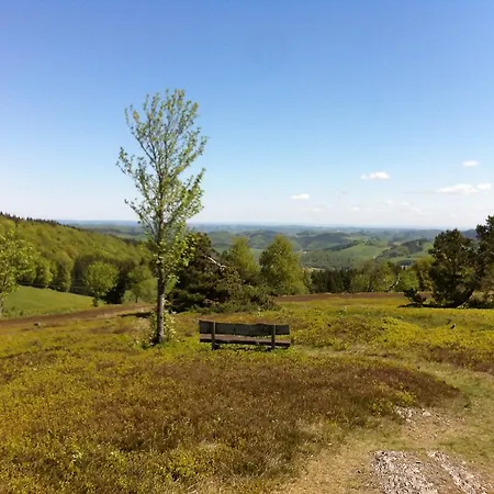Posthotel Usseln Willingen (Upland)