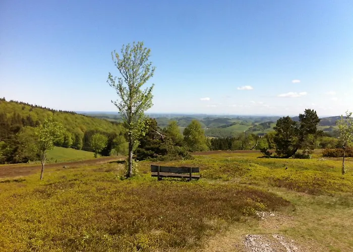 Posthotel Usseln Willingen (Upland)